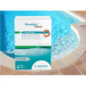 Desalgin SHOCK Schockchlorung Schnellchlor Algenvernichtung Antialgen-Konzentrat 1,6 kg Bayrol (4 Beutel im Karton)