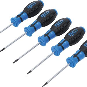 Schraubendreher-Satz | T-Profil (für Torx) | T6 – T10 | 5-tlg.