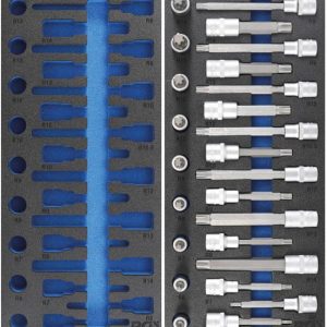 Werkzeugeinlage 1/3: Bit-Einsatz-Satz | Antrieb 1/2 Zoll | Keil-Profil (für RIBE) | 25-tlg.  (leer / gefüllt)
