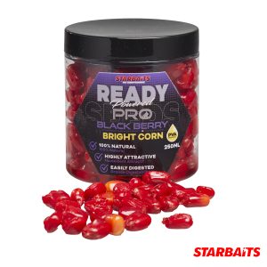 Starbaits Ready Seeds Bright Corn