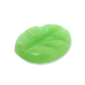 Scentchips Box XL 38 Stück Citronella Grün