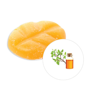 Scentchips Box XL 38 Stück Musk & Frisches Holz