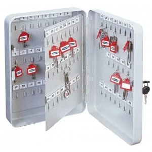 ROTTNER TS-Serie Schlüsselkasten grau mit Zylinderschloss, versch. Anzahl an Haken