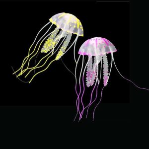 Quallen Amazonas Floating Jellyfish