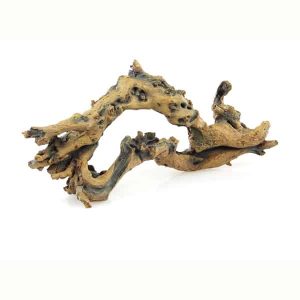 Aquarium Wurzeln kaufen Savannenholz Dekoration