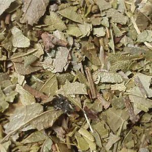 Boldoblätter geschnitten