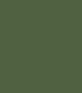 B-Ware: Biojersey uni – Emma – armeegrün 055