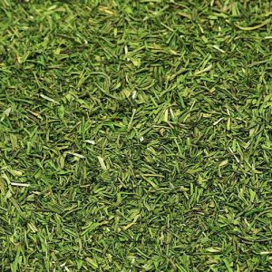 Dillspitzen gerebelt