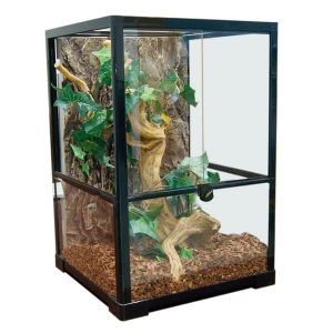 Glas Terrarium 40x40x60 cm – Amazonas T-40