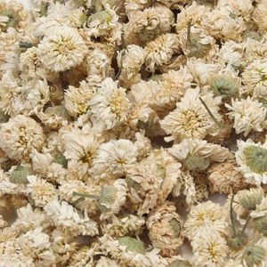 Römische Kamillenblüten ganz