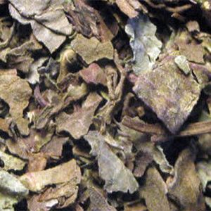 Indischer Nierentee / Orthosiphonblätter geschnitten