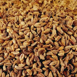 Petersiliensamen ganz