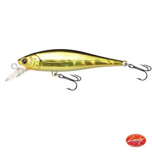 Lucky Craft Pointer 65