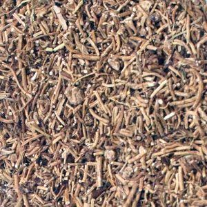 Schlüsselblumenwurzel / Primelwurzel geschnitten