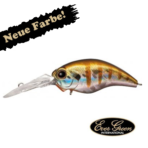 Ever Green Rattle-In Wild Hunch