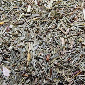 Schachtelhalmkraut / Zinnkraut geschnitten