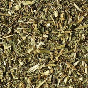 Echinacea / Sonnenhutkraut geschnitten