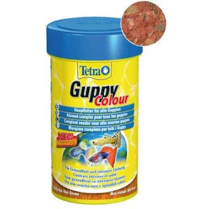 Tetra Guppy Colour – Futter für Fische