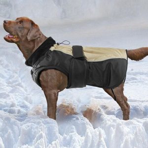 Jasper Winter Hundemantel von Swisspet